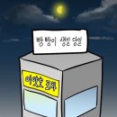 완도조개구이 이미지