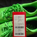 270-2022 | [리뷰] 아울렛득템 뉴발란스 M860F12 그린 270 착용 후기 | 런닝화 추천 Fresh Foam 860