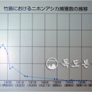 '독도 강치' 멸종시킨 파렴치 일본인 이미지