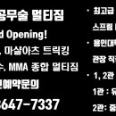 세양 특공무술 멀티짐 이미지