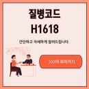 H1618 이미지