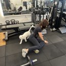 가꿈PT 스튜디오 이미지