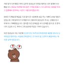 다온해법수학