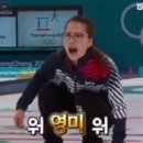 핑크강아지 이미지