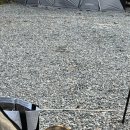 캠핑포유펜션 이미지