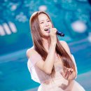 솔지방