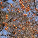 도령여관 이미지