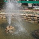 생태연못 이미지