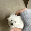 없 음 이미지