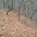 성가롤로병원 이미지