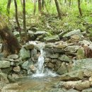 데미샘자연휴양림 이미지