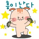 충세흑돼지고기마씸