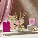 담은 스테이 이미지