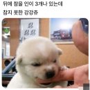 우서방냉면
