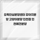 오독안심분양센터 강아지분양 고양이분양 인천점 | 아프지 않게, 건강하게 오독안심분양센터 강아지분양 고양이분양 인천점 인천애견분양