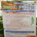장원 농장 | 부여서울농장 농촌체험 프로그램 추천, 황포돛배/베이킹/백제역사강의 등