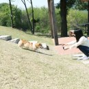 와일드민박 이미지