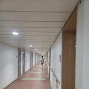 강정천(해군기지) | 내차타고 목포항에서 배타고 다녀온 제주도 여행후기 (제누비아설명외)
