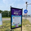 한강공원 해치카 이용후기｜서울 전기차 버스 체험기! 한강 데이트 부모님 외국인 여행 필수 코스
