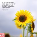 서면한라부동산중개 이미지
