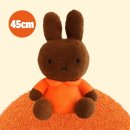 45센티