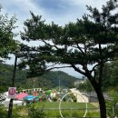 camp 80 이미지