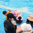 출발 여행영어 | 아이와 해외 한달살기 세부 가족여행 세부 GITC 필리핀 영어캠프