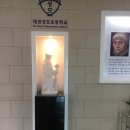 성모초교 이미지