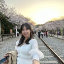 경화역 | 경화역 벚꽃길 후기🌸 사람 많아도 꼭 가야 하는 이유