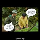 광주 돈워리 아이 잎새주🍶베스트 드라이버 (feat, 보해양조 택시운전사 한정판 에디션 언박싱)