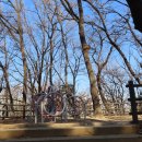 우장산둘레길 이미지