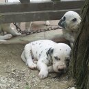 여주-0214 이미지