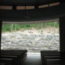 향기나라사랑이 이미지