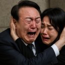 법무법인청녕 이미지