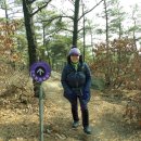 수원팔색길 수원둘레길 이미지