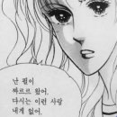 김초생초