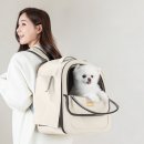 하동식국수 | 구례 하동여행ㅣ섬진강재첩국수, 강아지와 함께한 내돈내산 후기 (애견동반 팁)