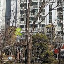 사임당로17길 116 (2) 이미지