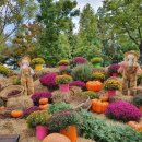 유림-1030 이미지