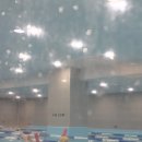 (주)풀런키즈스윔 | 부천 신중동 아쿠아마린키즈스윔 초등아이 수영 강습 이용 후기