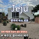 줄리에타 | 제주도 서쪽 감성숙소 무료 자쿠지 독채 마당있는 줄리에타