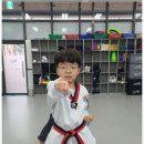 경희대 부부 다원태권도장 이미지