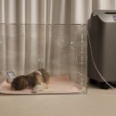 일이메디칼 이미지