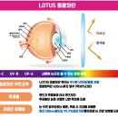눈플러스안경원 이미지