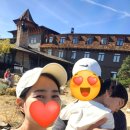 🐻​​​[미국 서부 여행] 만 3세, 4세 아들 둘과 함께한 그랜드캐년 사우스림 현실 후기!