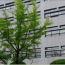 에이엠씨월드 이미지