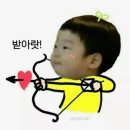 하바나익스프레스 이미지