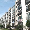 삼동1호 이미지