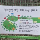 애견# | 시흥영화산장애견카페 후기