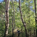 함양 할미봉(1026m) 이미지